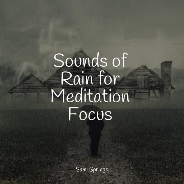 Sounds of Rain for Meditation Focus - Rain Spa