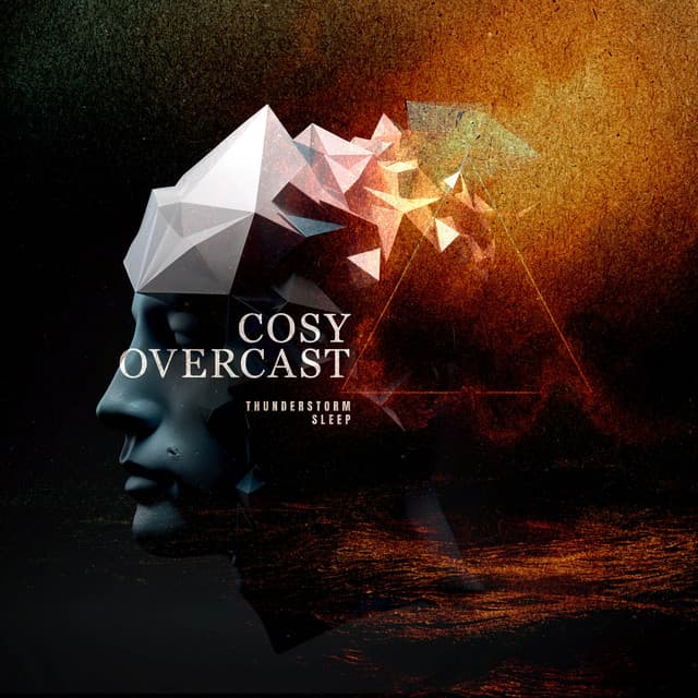 Cosy Overcast - Thunderstorm Sleep