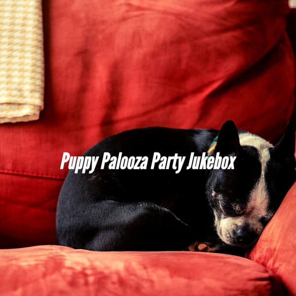 Puppy Palooza Party Jukebox - Calm Dog Music