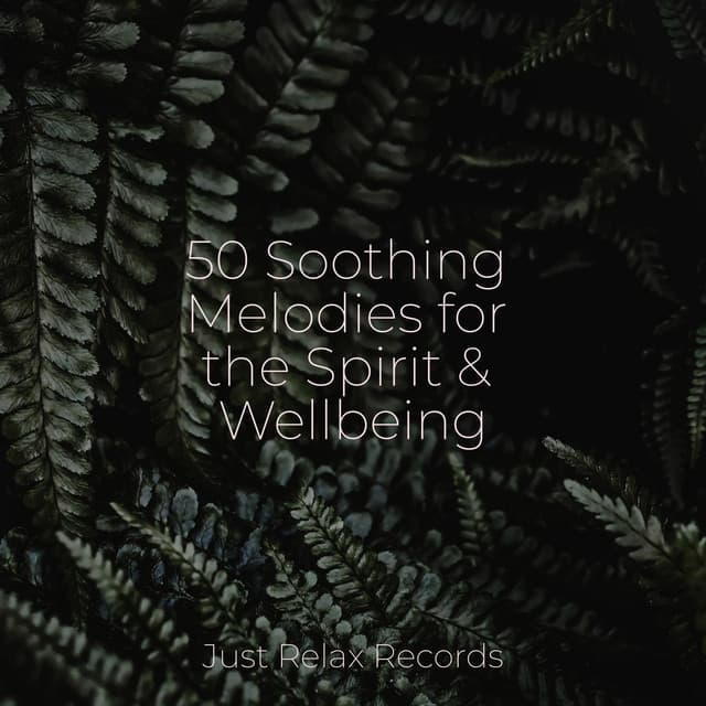 50 Soothing Melodies for the Spirit & Wellbeing - Kinderliederbande