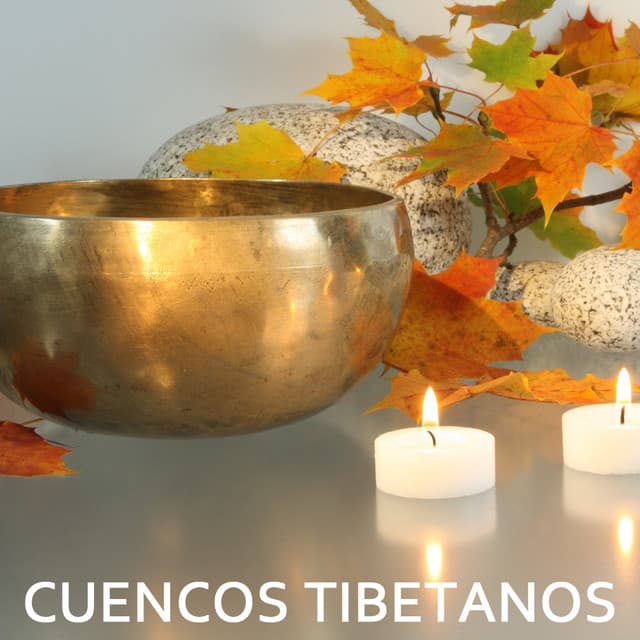 Cuencos Tibetanos - Cuencos Tibetanos