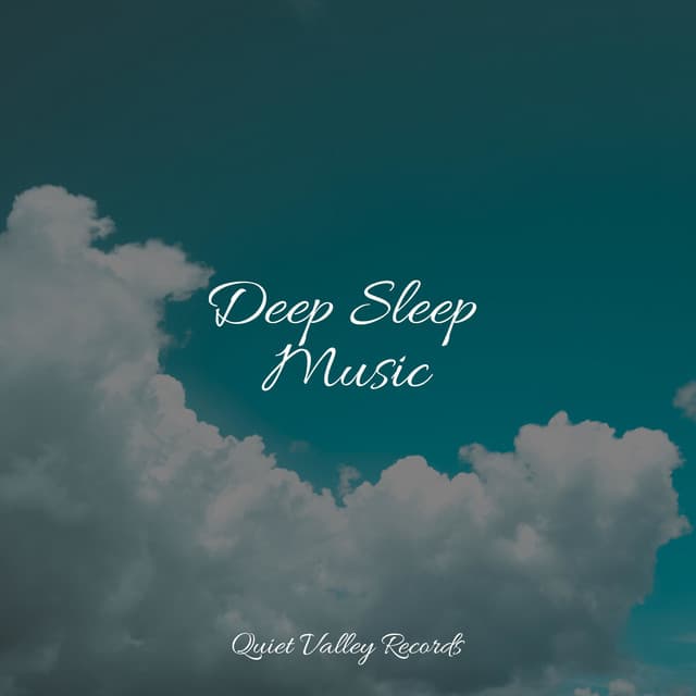Deep Sleep Music - Nature Sounds for Concentration