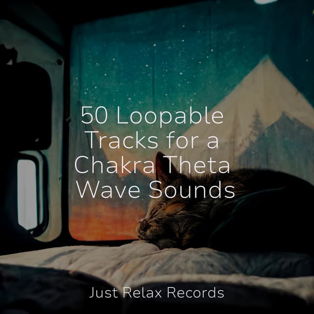 50 Loopable Tracks for a Chakra Theta Wave Sounds - Dormir