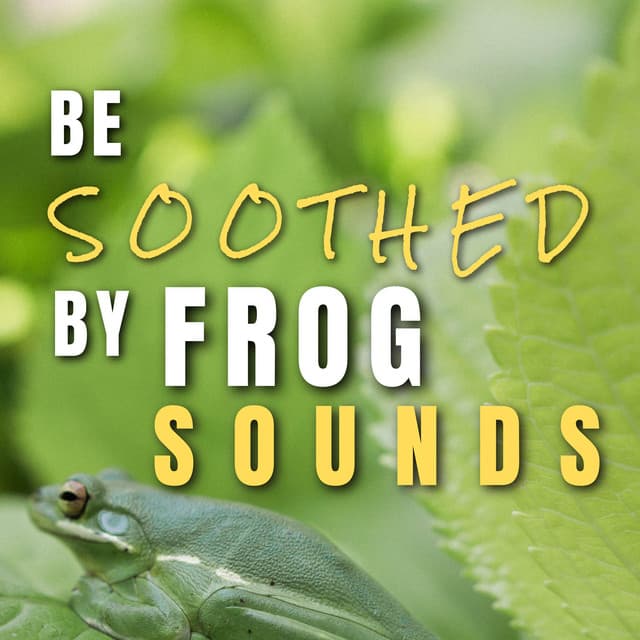 Be Soothed by Frog Sounds - Frog Sounds