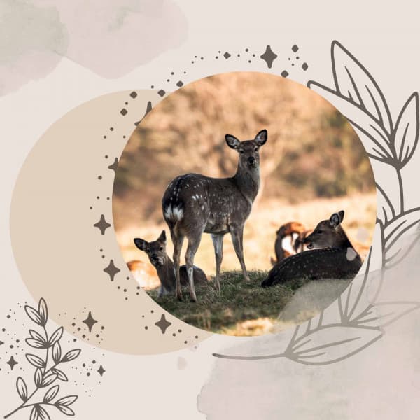 Ballad Jazz - Background Music for Spring Rest - Música Alegre para Cafe