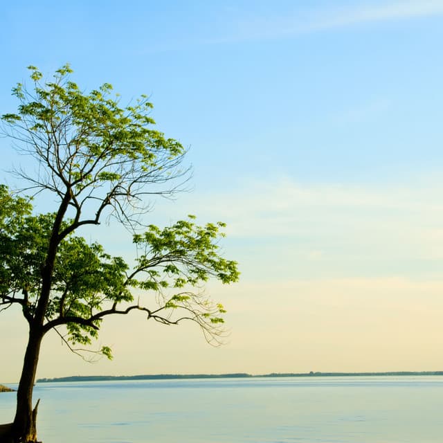 Waterscape Harmony: A Melodic Flow of Serenity - Water Science