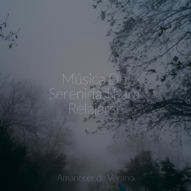 Música De Serenidad Para Relajarse - El hada de las canciones de cuna