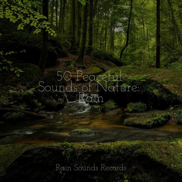 50 Peaceful Sounds of Nature: Rain - Relaxing Spa Music