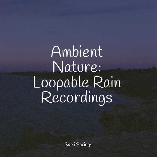 Ambient Nature: Loopable Rain Recordings - It's Raining