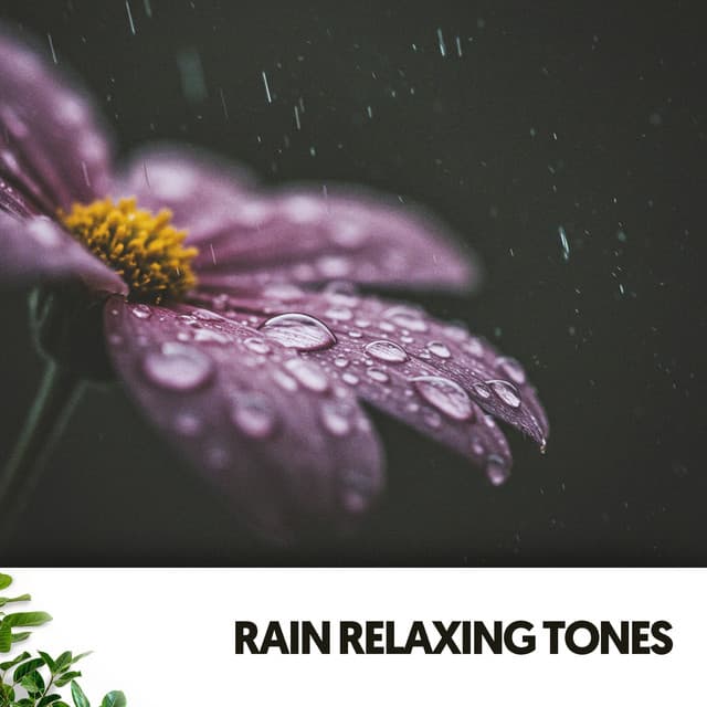 Rain Relaxing Tones: Melodies of the Storm - Música Relajante Para Leer