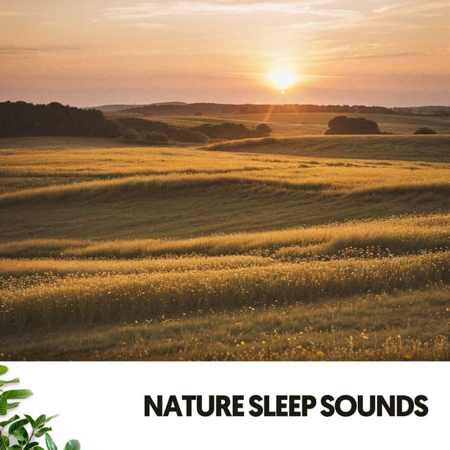 Sonidos de la Naturaleza: La Sinfonía de la Serenidad - The Nature Soundscapes