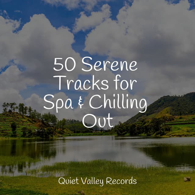 50 Serene Tracks for Spa & Chilling Out - Música para Relaxar Maestro