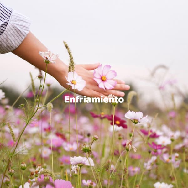 Enfriamiento - Música para Hoteles Lujo