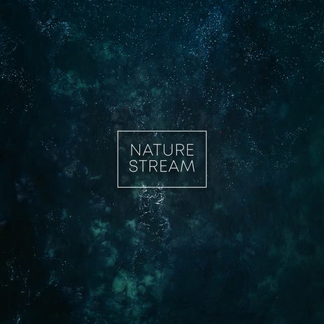 Nature Stream - Dog Music