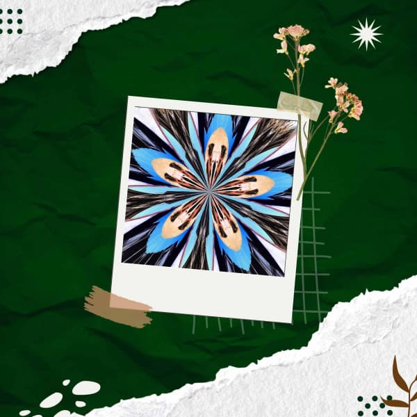 Guitar Bossa Nova - Music for Upbeat Moods - Chilled Jazz Atmosphere