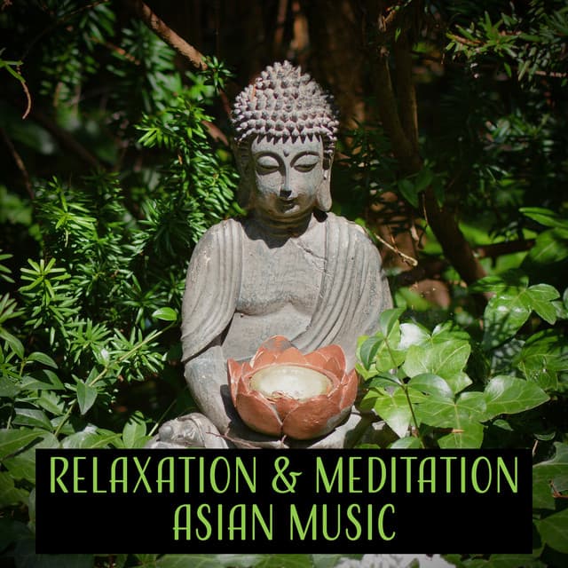 Relaxation & Meditation Asian Music: 50 Songs for Yoga, Massage, Meditation, Spa and Sleep, Sounds of Nature - Relaxation & Meditation Academy