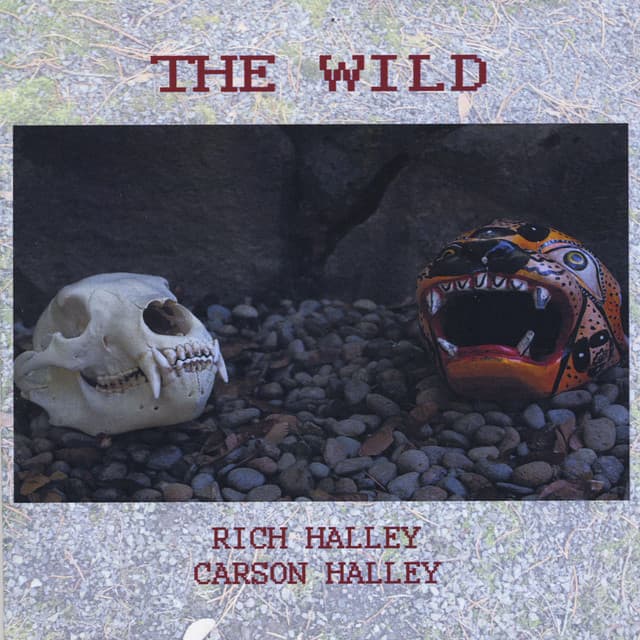 The Wild - Rich Halley
