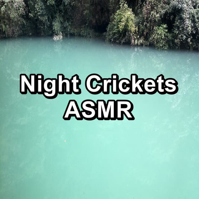 Crickets - Tinnitus Sleep Solution
