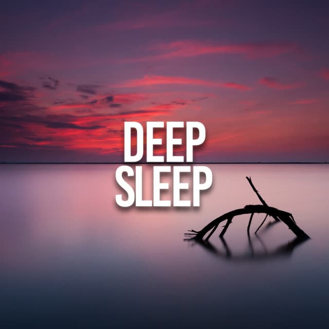 Deep Sleep - Dog Music