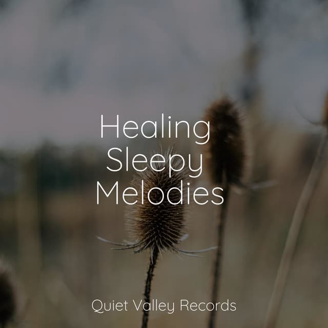 Healing Sleepy Melodies - Meditation Zen
