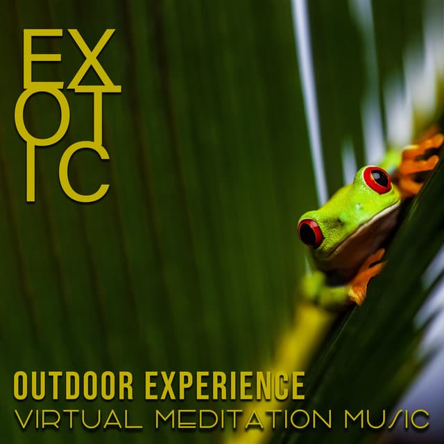 Exotic Outdoor Experience - Exotic Area Zen