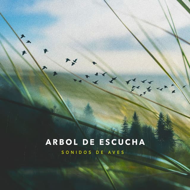 Arbol de Escucha - Sonidos De Aves