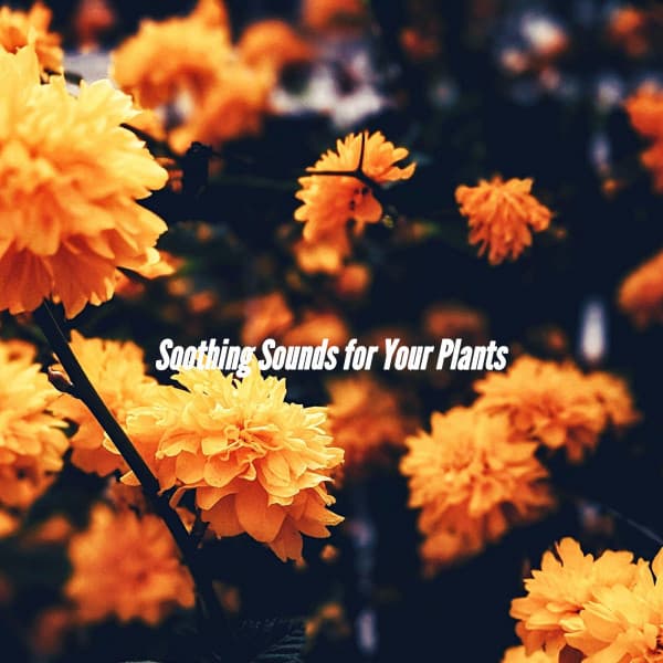 Soothing Sounds for Your Plants - Coffee Shop Playlist