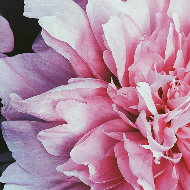 0 Hour Garden: Healing Souls - Spa Music Relaxation