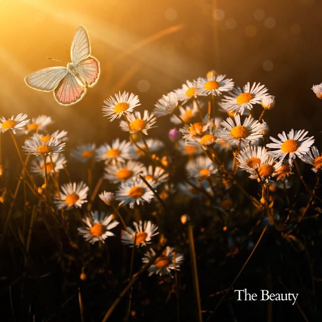 The Beauty - Relaxing Music for Stress Relief