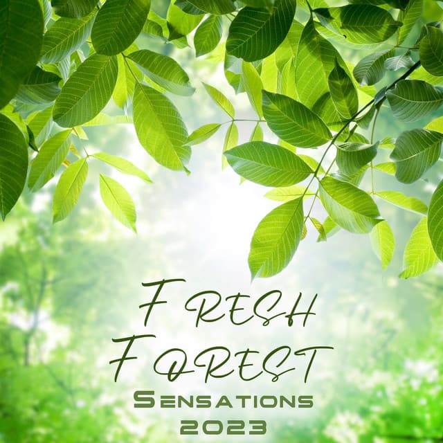 Fresh Forest Sensations 2023: Zen Freedom Of The Spirit, The Landscape Background - Living Liquid