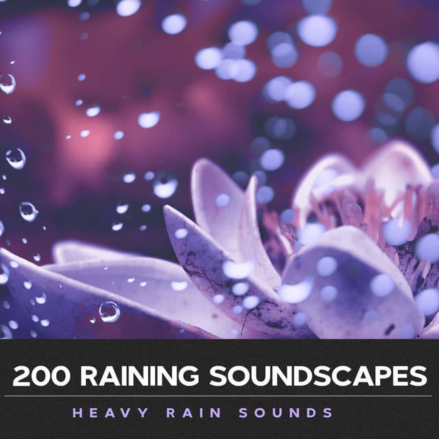 200 Raining Soundscapes - Heavy Rain Sounds