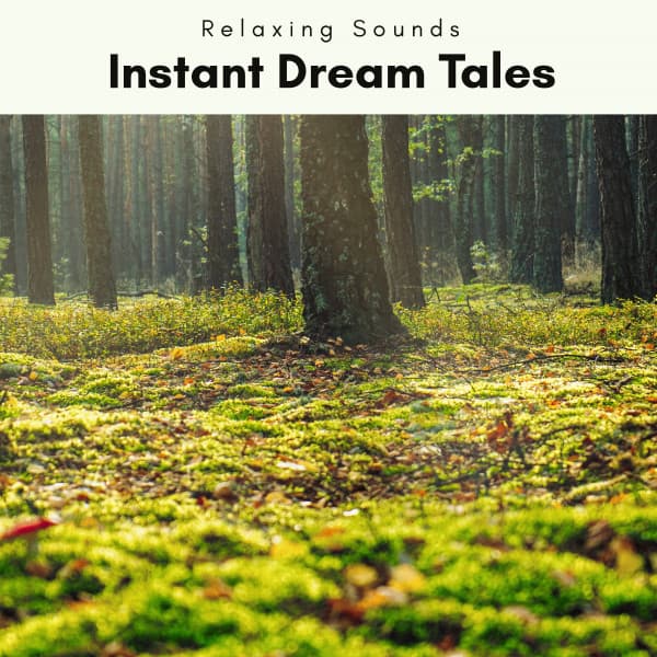 1 Instant Dream Tales - Stereo Outdoor Sampling