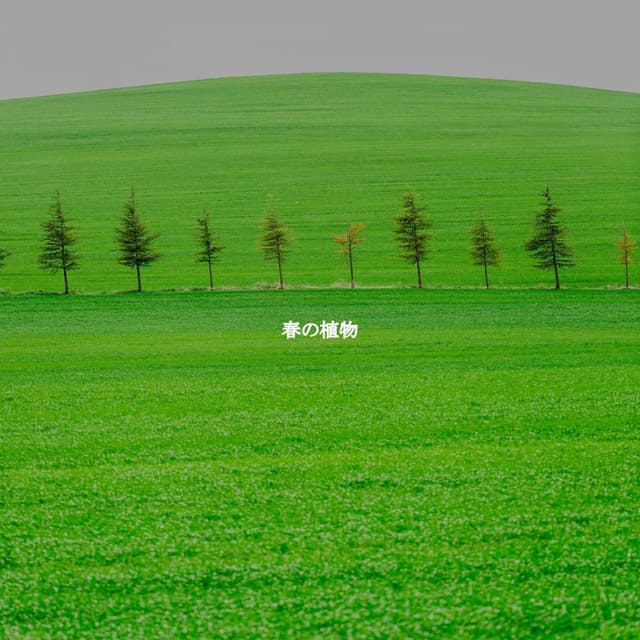 春の植物 - Saturday Morning Jazz Playlist