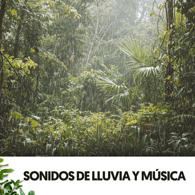 Sonidos de Lluvia y música: Calma en el goteo - Dog Relaxation