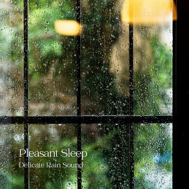 Pleasant Sleep: Delicate Rain Sound - The Sleep Phasers