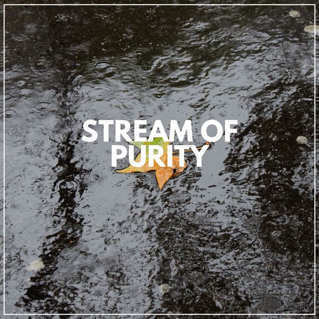 Stream of Purity - Recording Nature
