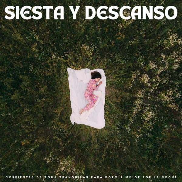 Siesta Y Descanso: Corrientes De Agua Tranquilas Para Dormir Mejor Por La Noche - Chill Relajente