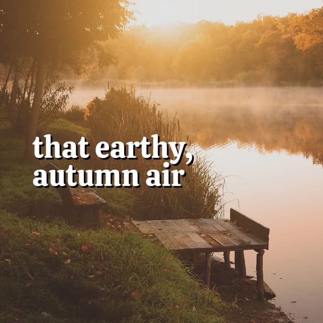 That Earthy, Autumn Air - Essential Nature Sounds