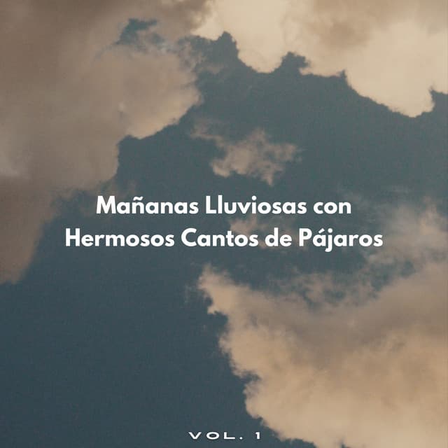 Mañanas Lluviosas Con Hermosos Cantos De Pájaros Vol. 1 - Lluvia en España