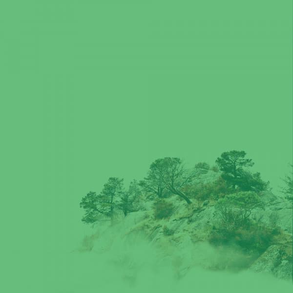 Echoes of Devoted Inspiration - Instrumental Jazz Trio New York