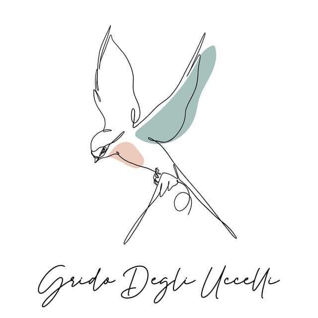 Grido Degli Uccelli: Suoni Rilassanti di Uccelli con Sfondo Naturale - Santuario dei suoni della natura