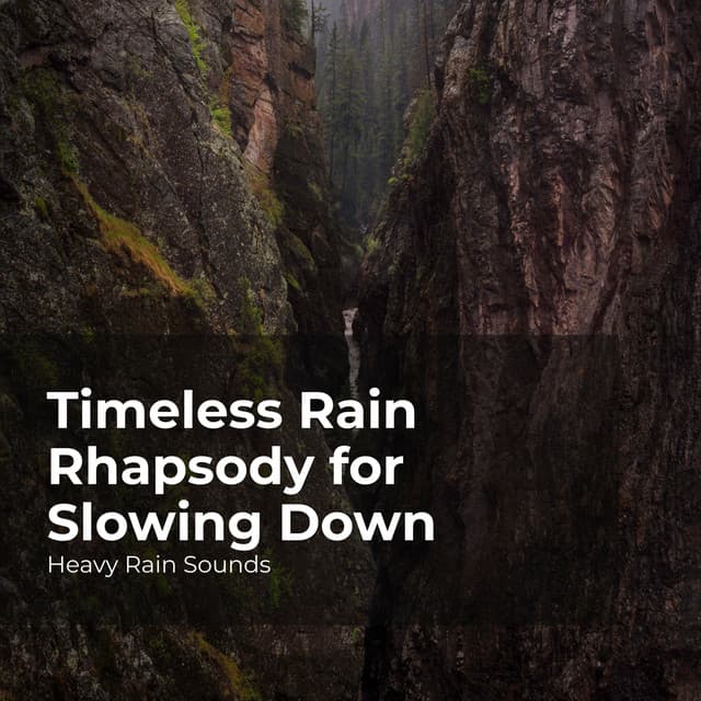 Timeless Rain Rhapsody for Slowing Down - Heavy Rain Sounds