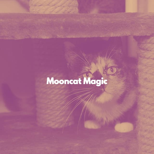 Mooncat Magic - Relaxing Music for Cats