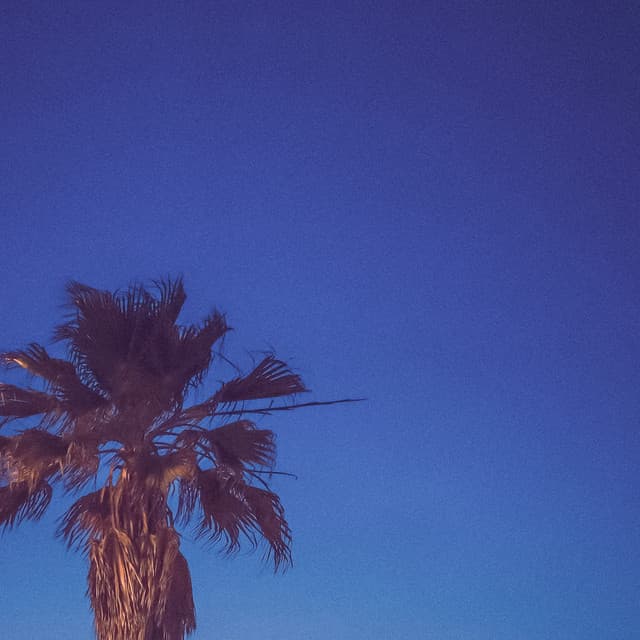 1 Coastal Night: Waves Beside The Horizons - Coastal Sounds