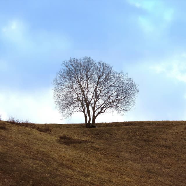 1 Atmosphere: Boundaries Of The Earth - Nature Sound Collection