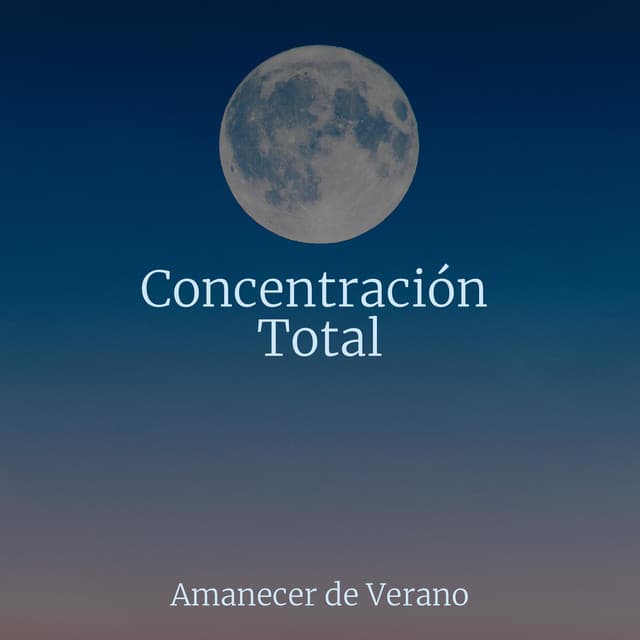 Concentración Total - Meditación Maestro