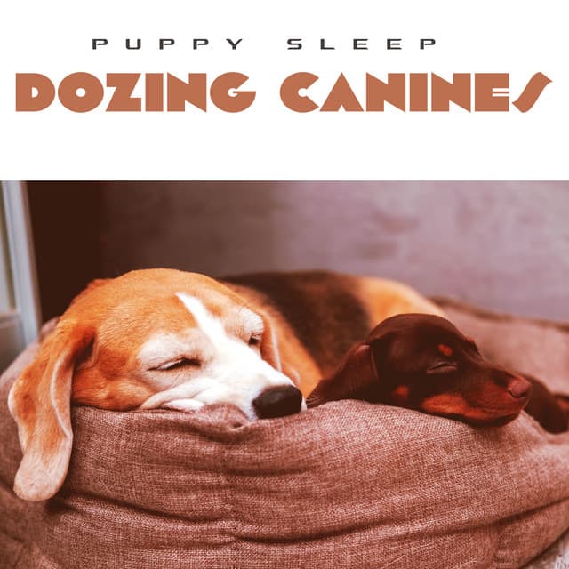 Dozing Canines - Puppy Sleep