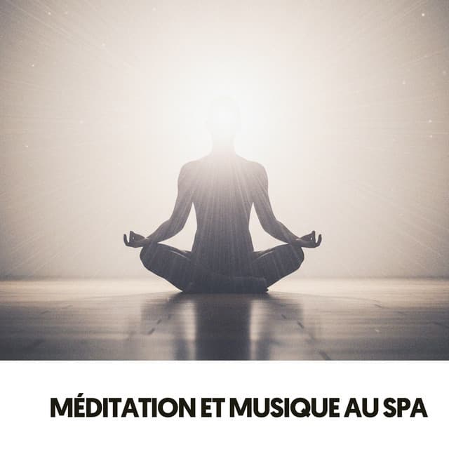 Méditation et Musique de Spa: Tu Es Vivant - Ruido Blanco Hart