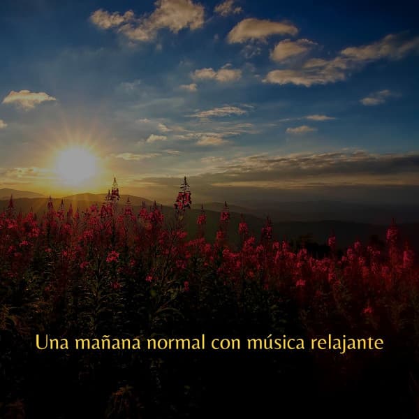 Una mañana normal con música relajante - Best Jazz Lounge Bar