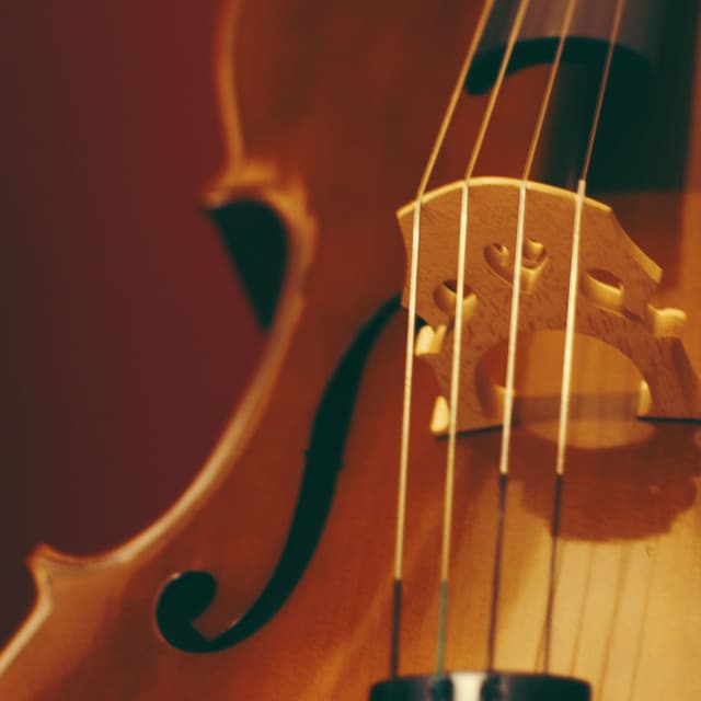 Relaxing Orchestra: Music for Meditation Evenings - Charles Anderson